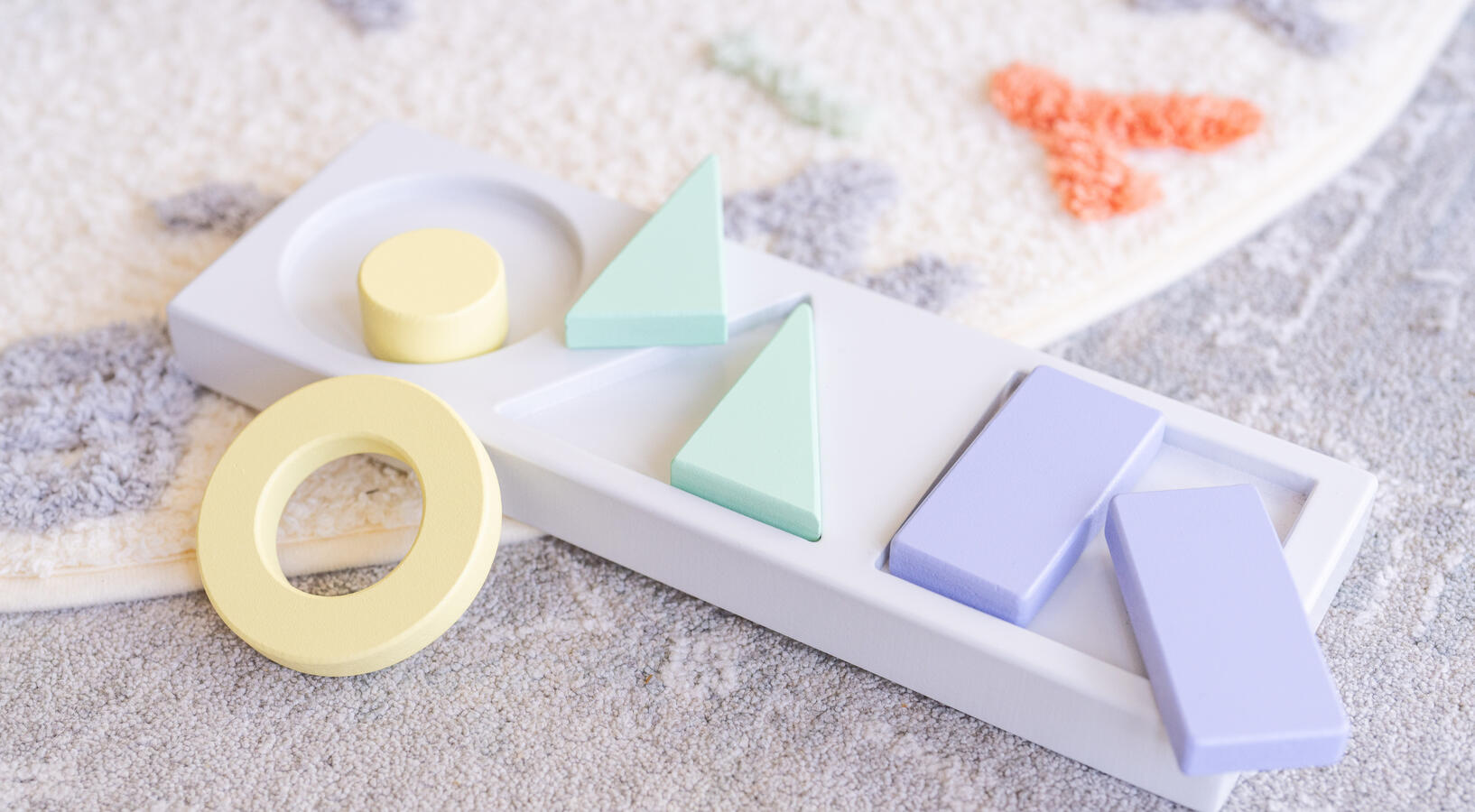 Montessori Two-Sided Puzzle